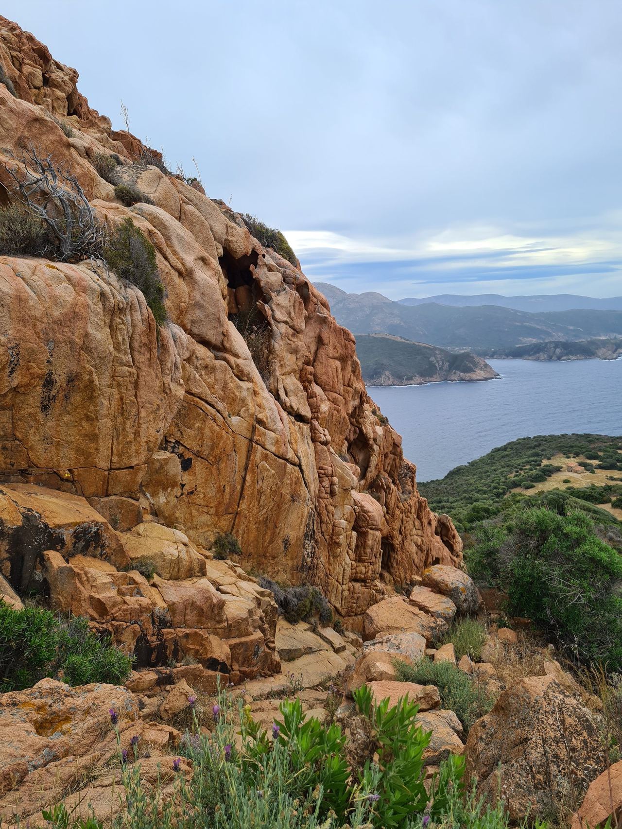 Jagged ochre cliffs and wildflowers overlook a calm blue sea, distant mountains, and green coastal hills beneath a cloudy sky.