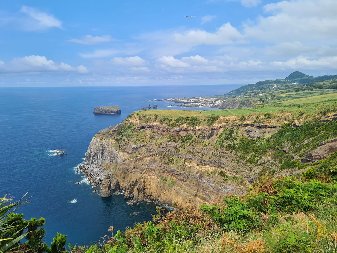 Rugged coast of the Azores