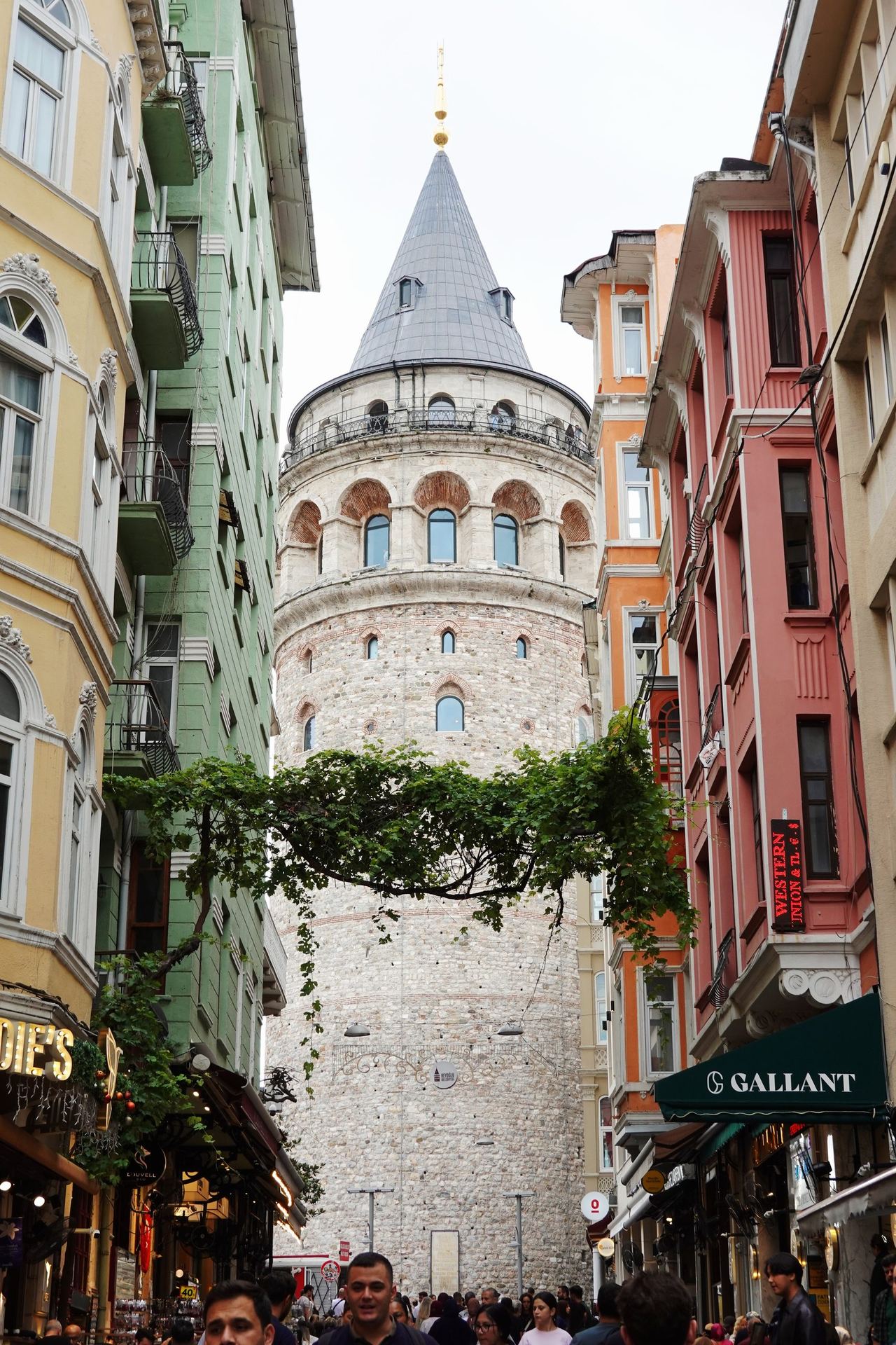 Historic Galata Tower rises between colorful Istanbul buildings, with a leafy vine arching over the busy street below; the scene feels lively and atmospheric.