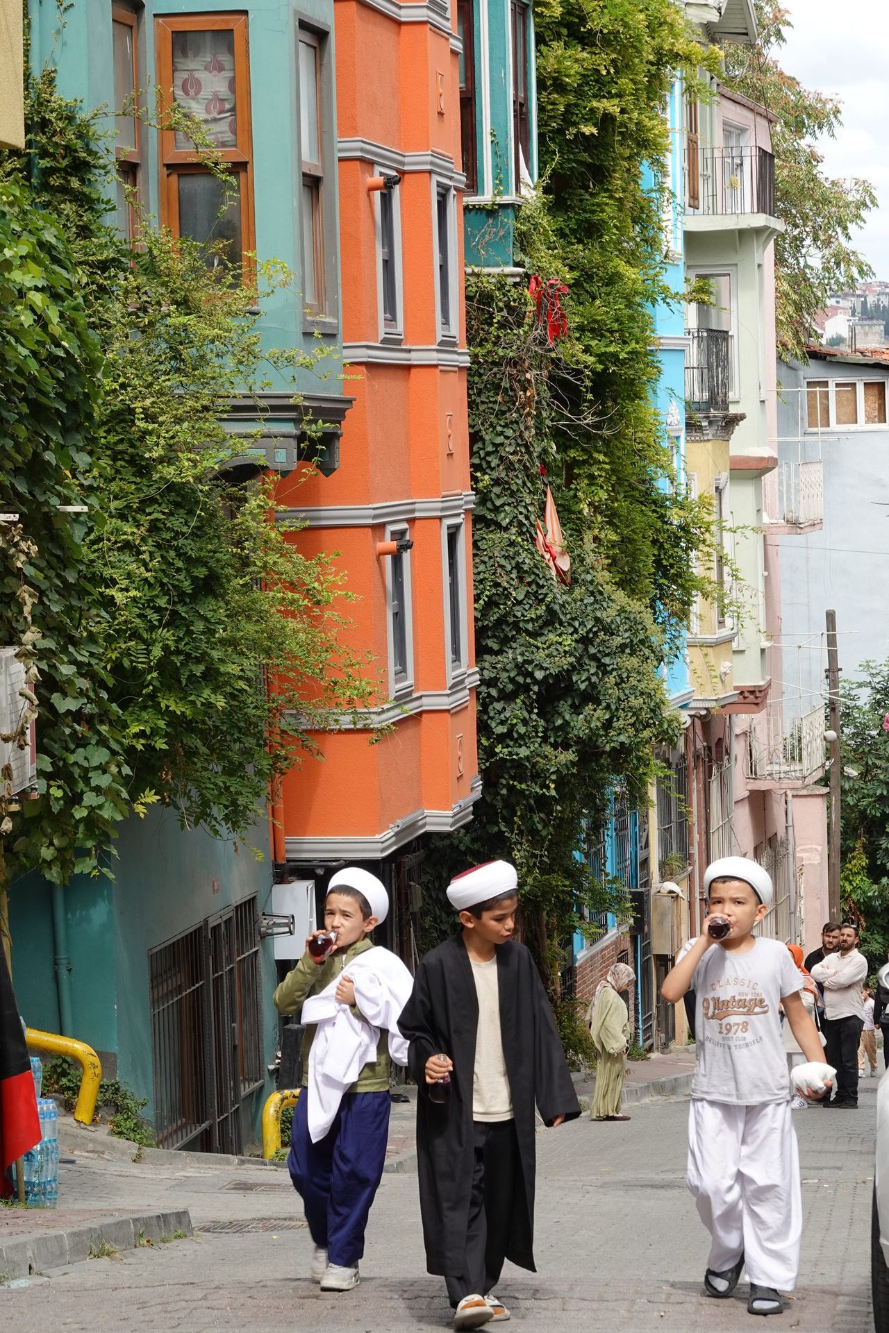 Boys in traditional Turkish clothing walk up a steep Istanbul street lined with colorful, ivy-covered buildings