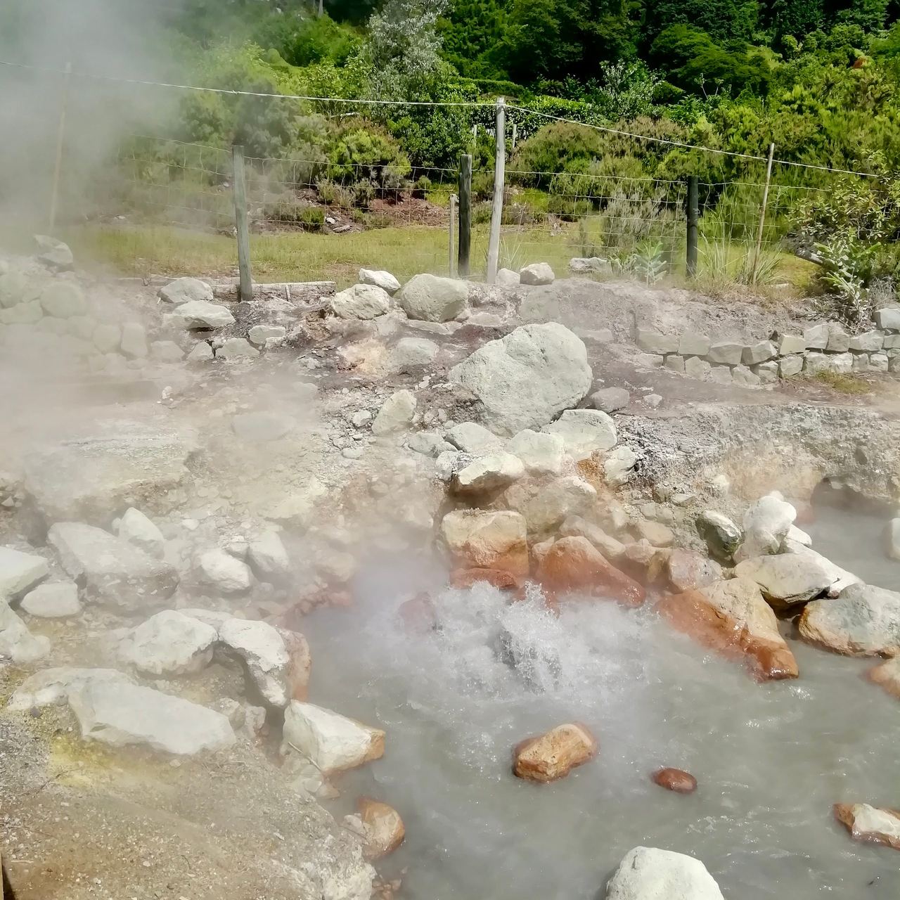 Thermal spring in the Azores