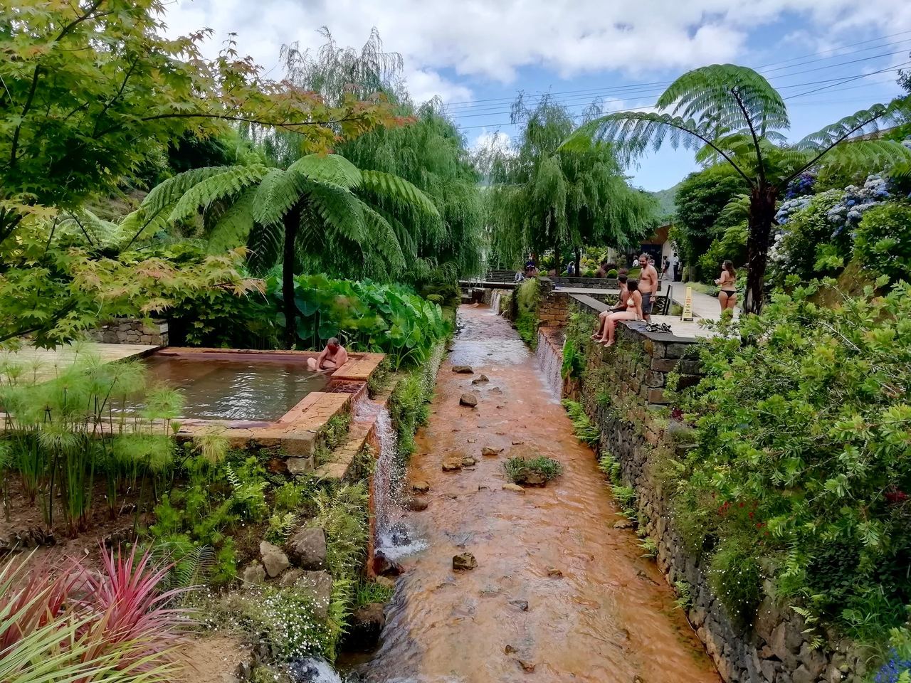 Thermal spa with warm stream surrounded by lush green vegetation