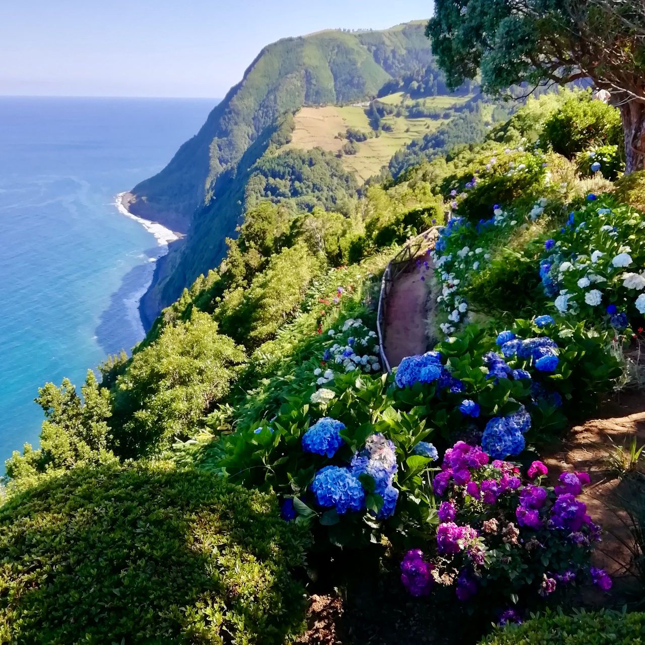 Mountainous shore on the ocean covered with green vegetation, flowers, and paths