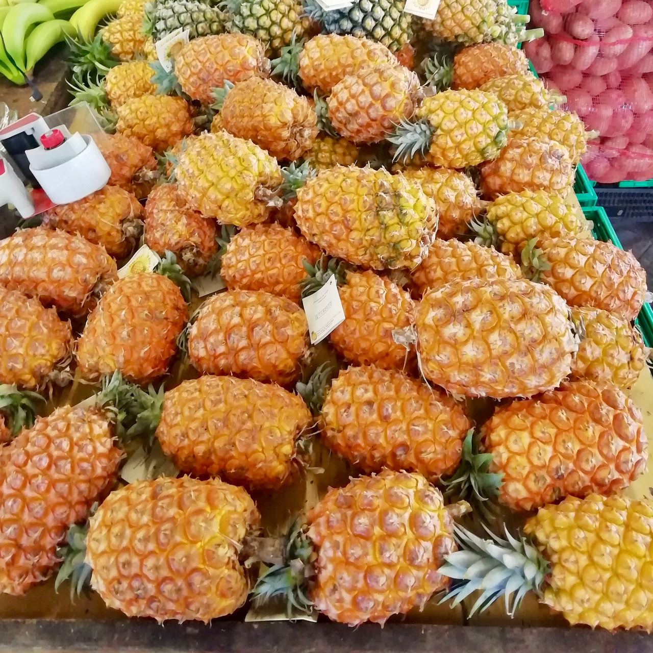Stack of Azorean pineapples
