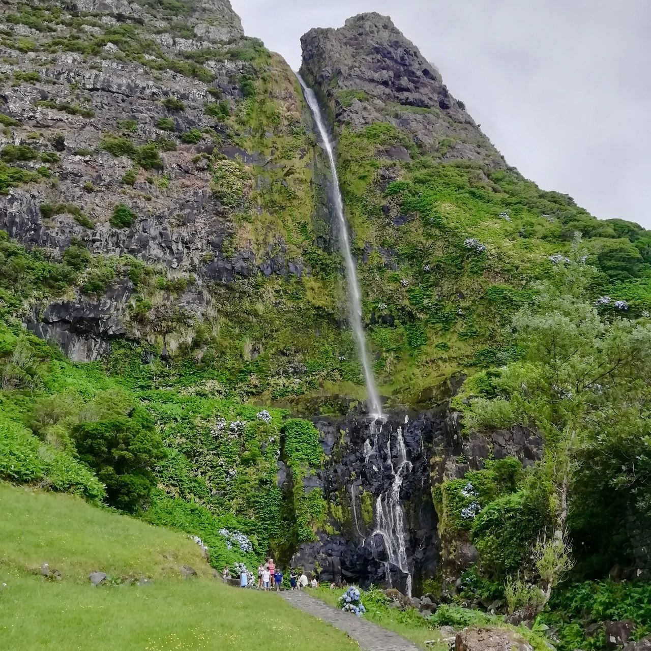 Huge cliff wall covered with green vegetation with a narrow waterfall