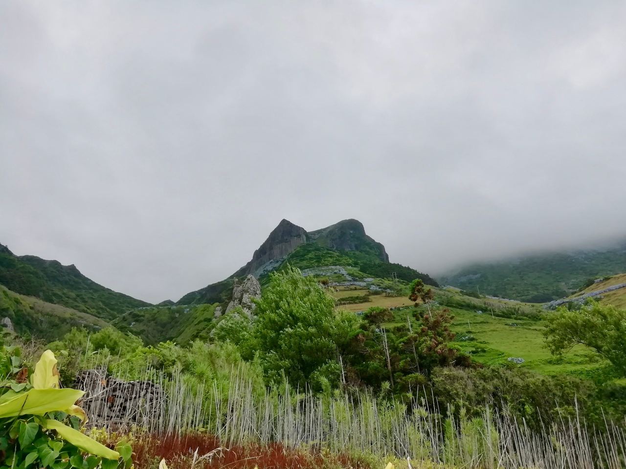 Small green hill on a cloudy, gray day