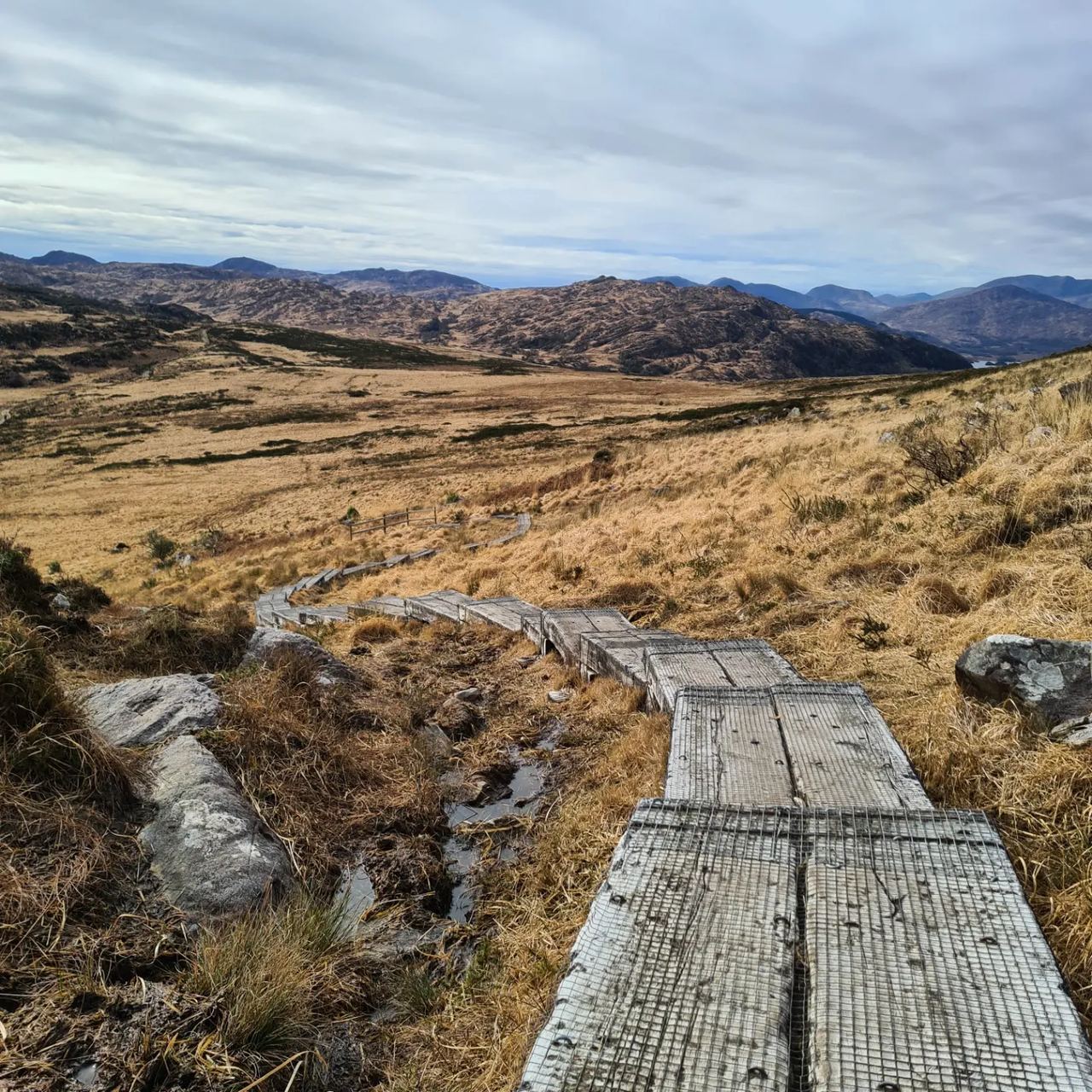Wooden path leading down from a small mountain between yellowish, autoumn pasture