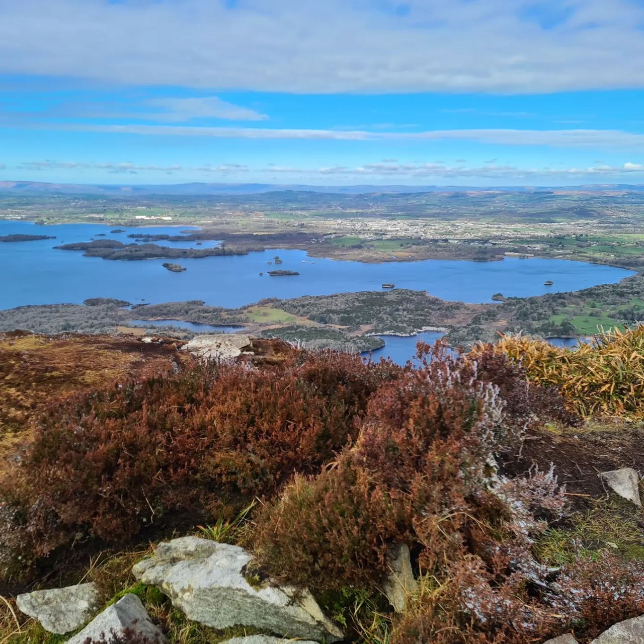 Blue lake pictured from the top of a mountain with yellowish vegetation in the foreground