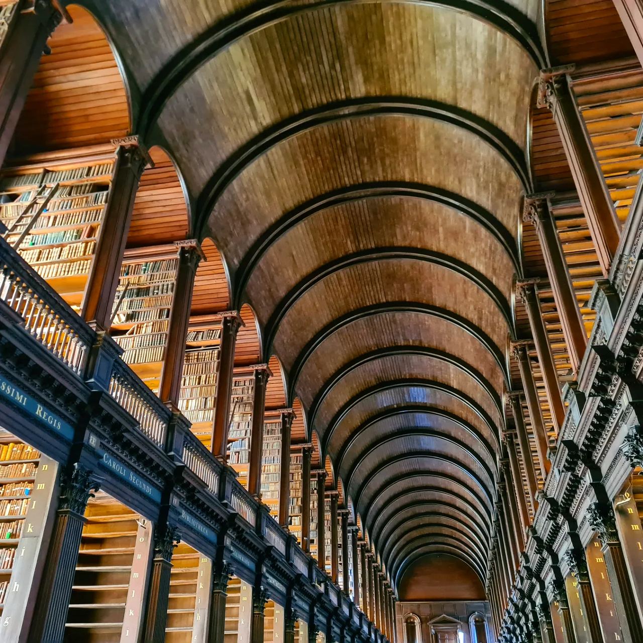 Ceiling of a library covered with wood