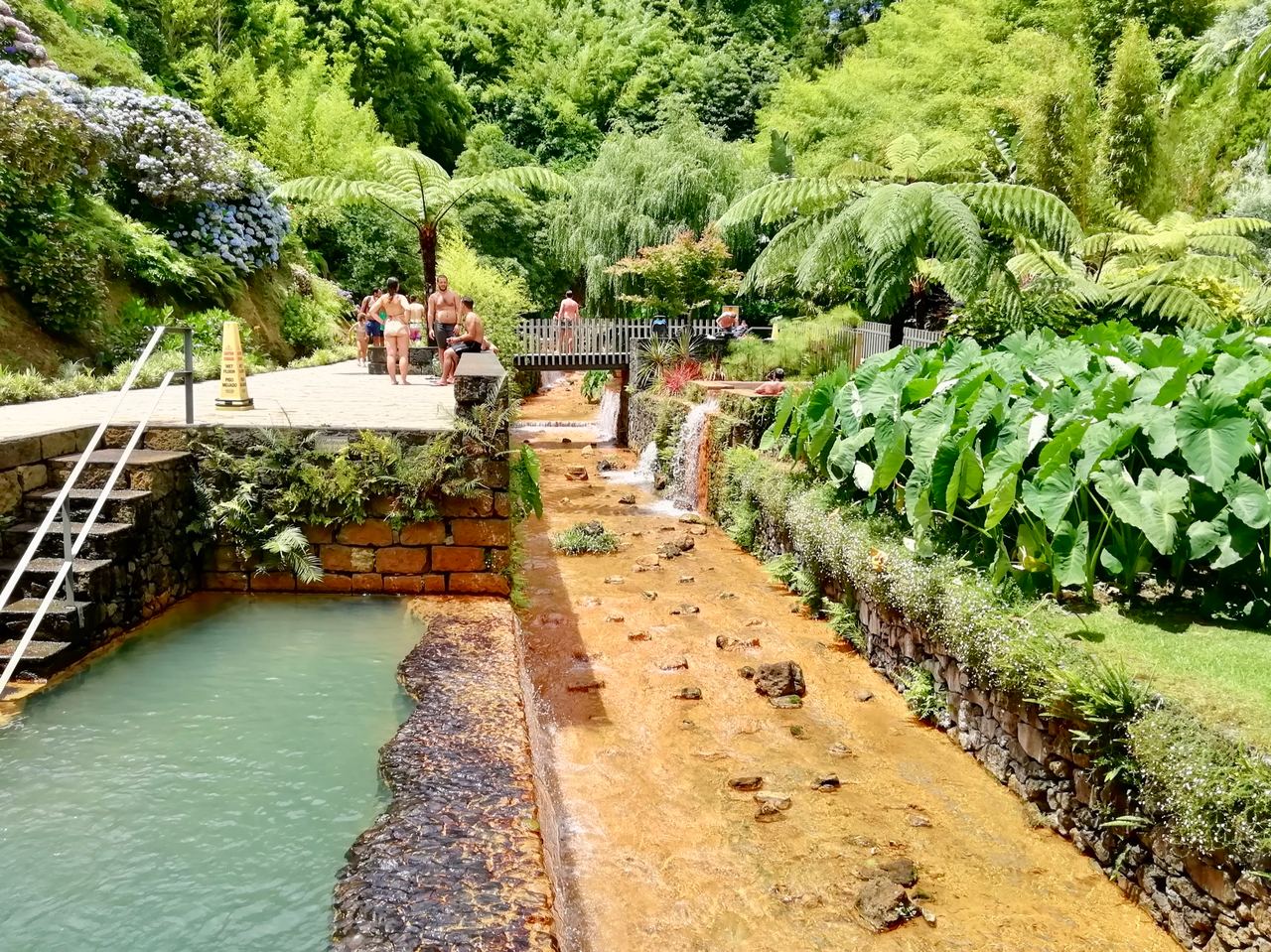 Thermal pools in a lush garden of tree ferns and hydrangeas, with an ochre-coloured stream running between them
