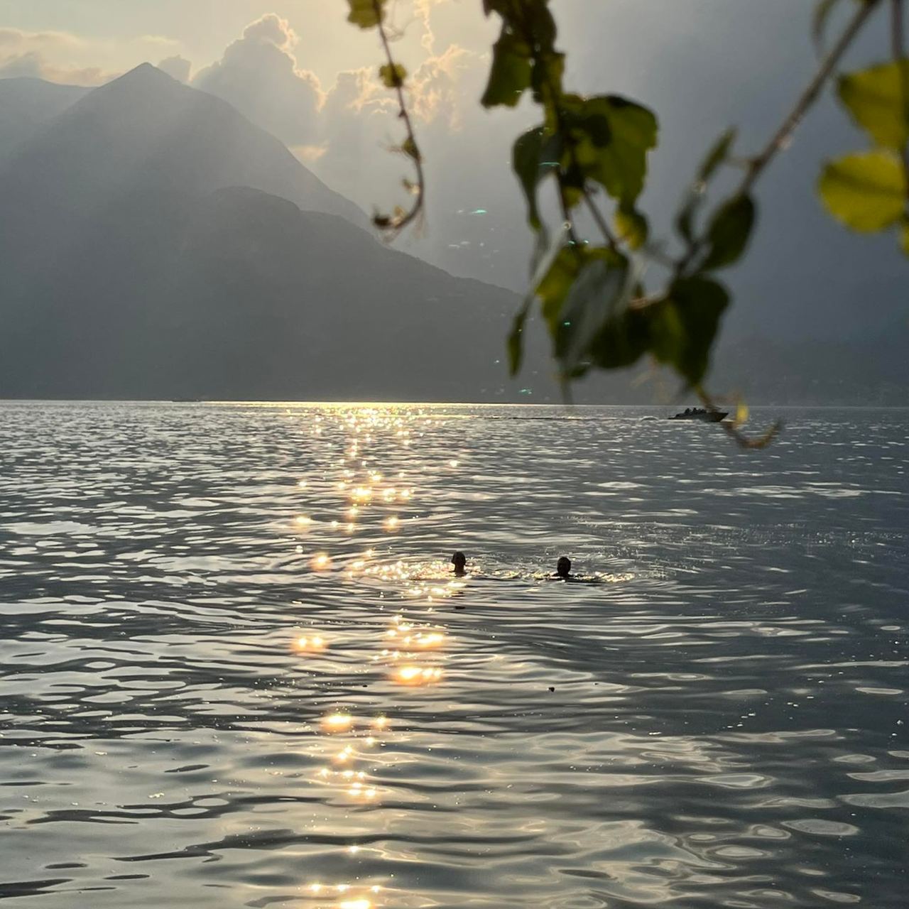 Sunlit lake with swimmers in shimmering water, misty mountains and clouds beyond, and leafy branches framing the peaceful, serene scene.